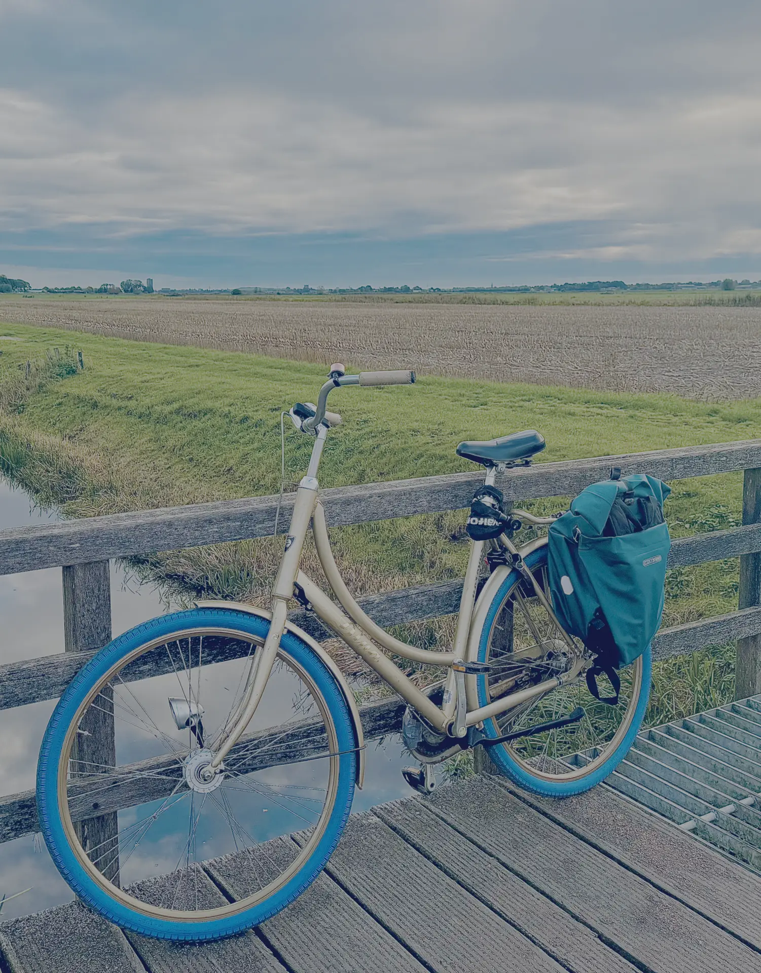 Confidence on the Bike, Whatever your Level. Cycling Lessons in the Netherlands 3 Golden bike by the Eem